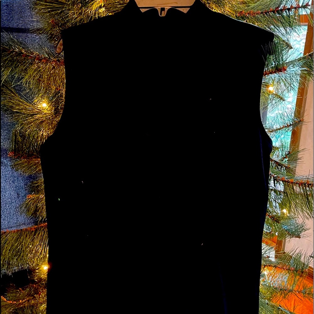 Vintage black sleeves blouse.